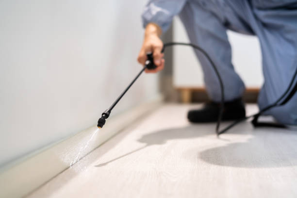 Licensed Pest Control service in Bozeman, MT - Show Me Pest Control