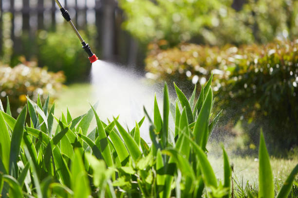 24/7 Emergency Ant Control experts in Bozeman, MT